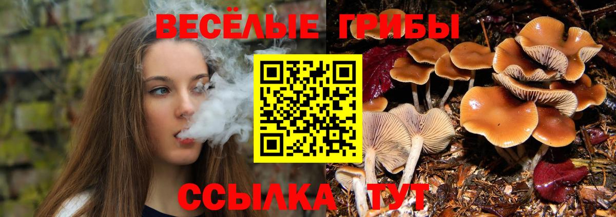 МДМА Богородицк